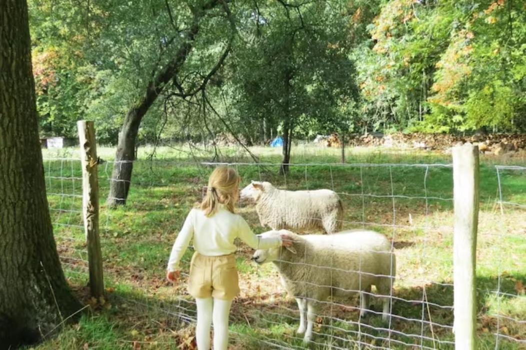 Gite Incontournable Avec Sauna Et Piscine Dans Un Petit Paradis Du Barbant Wallon Villers-la-Ville Exteriör bild