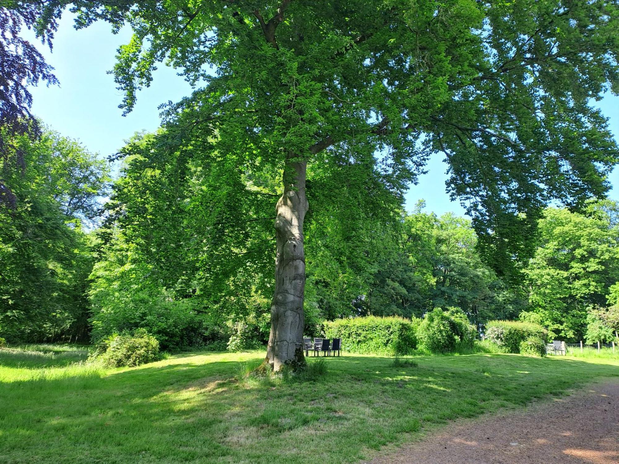 Gite Incontournable Avec Sauna Et Piscine Dans Un Petit Paradis Du Barbant Wallon Villers-la-Ville Exteriör bild